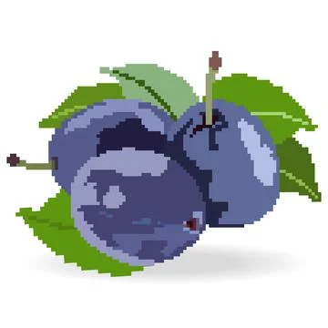 Plum prunes. Stock Illustration