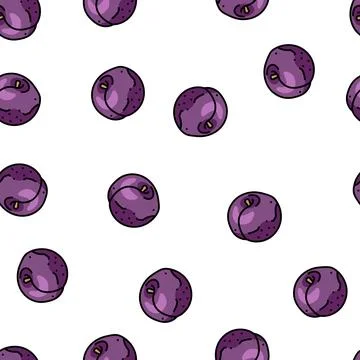 Plum purple fruit vector seamless pattern イラスト素材