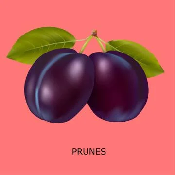 Plum on a red background Stock Illustration