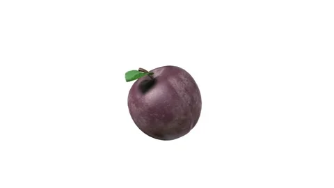 Plum rgb Stock Footage 161740741