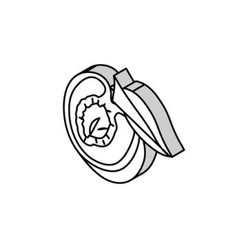 Plum seed cut leaf isometric icon vector illustration Stock Illustration