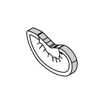 Plum slice fruit isometric icon vector illustration Stock Illustration