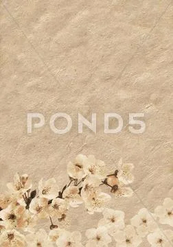 Plum-tree branch covered with flowers in grunge illustration Stock Illustration