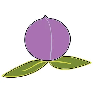 Plum with two leaves isolated on white background Ilustração Stock