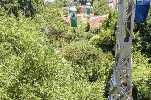 Plum under the cable car. Stock Photos