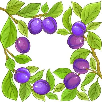 Plum vector frame Illustrazione stock