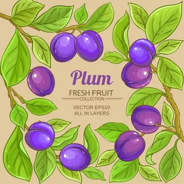 Plum vector frame Illustrazione stock