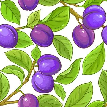 Plum vector pattern Illustrazione stock