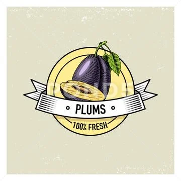 Plum Vintage, hand drawn fresh fruits background, summer plants, vegetarian and Stock Illustration