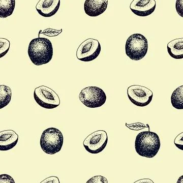 Plum vintage vector seamless pattern. Botanical fruit illustration. Engraved Stock Illustration