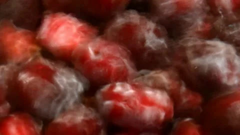 Plum is washed 動画素材 256107760