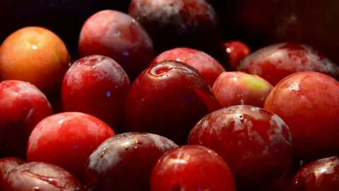 Plum is washed 動画素材 256108341