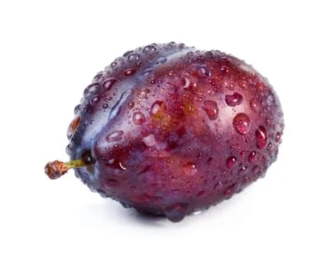 Plum with water drops Stock Photos