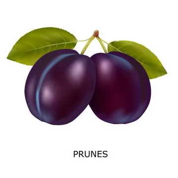 Plum on a white background Stock Illustration