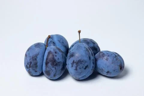 Plum on a white background.  Stock Photos