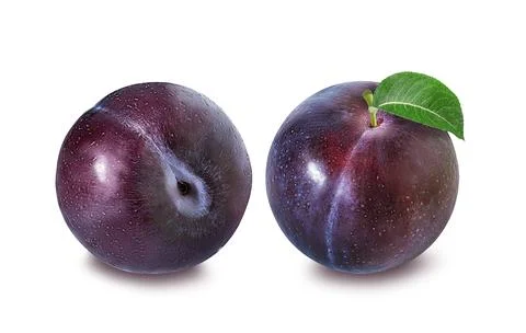 Plum on a white background Stock Photos