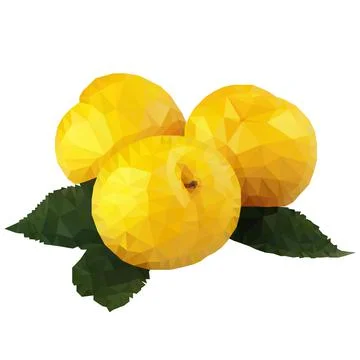 Plum yellow Stock Illustration
