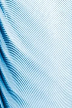 Plumage background Foto stock