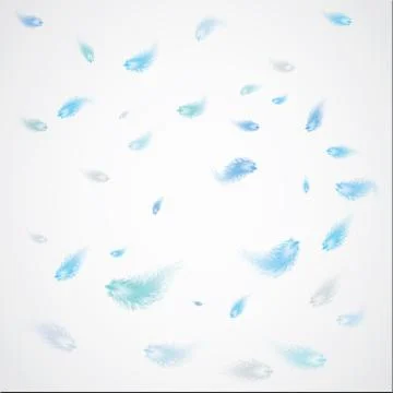 Plumage 库存插图