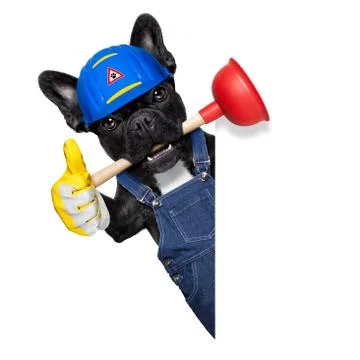 Plumber dog with plunger Stock Photos