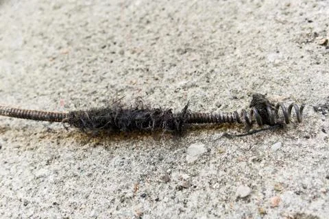 Plumber Drain Cable Snake Foto stock