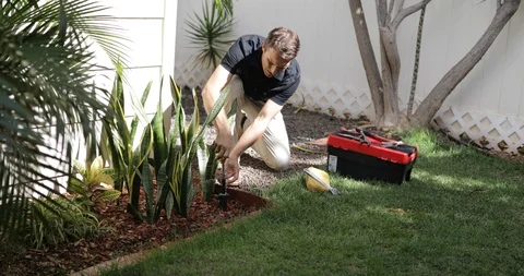 Plumber Man fixing Sprinkler Head in backyard Stock Footage 120670294