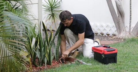 Plumber Man fixing Sprinkler Head in backyard Stock Footage 120670354