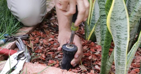 Plumber Man fixing Sprinkler Head in backyard Stock Footage 120670378