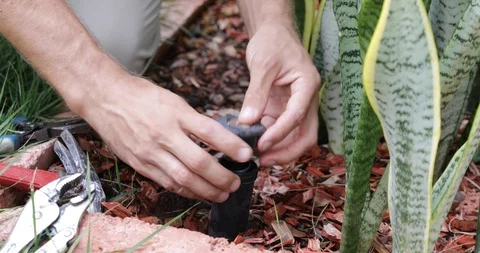 Plumber Man fixing Sprinkler Head in backyard Stock Footage 120670385