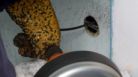 A plumber snaking the bathtub drain  Video stock 318577157