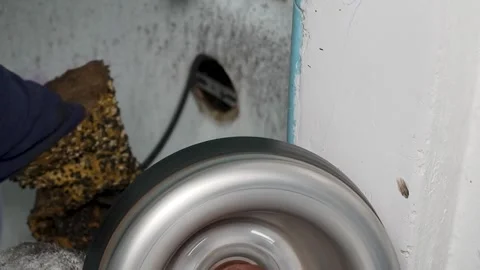 A plumber snaking the bathtub drain  Video stock 318577181