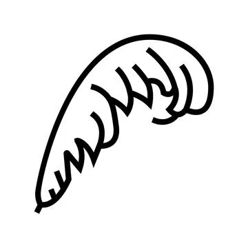 Plume feather soft fluffy line icon vector illustration Illustrazione stock
