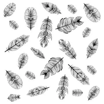 Plumelet pattern Stock Illustration