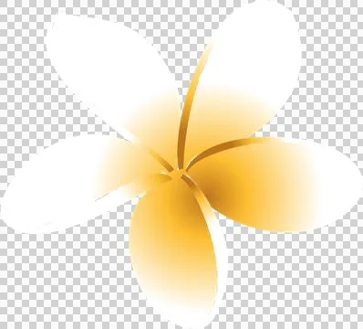 Plumeria-like flower is floating in flat vector with five gradient petals on Stock Illustration