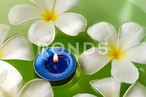 Plumeria flowers scented candles Stock Photos