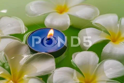 Plumeria flowers scented candles Stock Photos