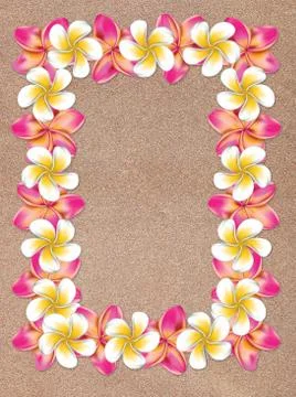 Plumeria Frame on Sand Иллюстрация