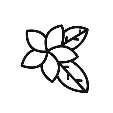 Plumeria icon linear vector graphics sign Stock Illustration