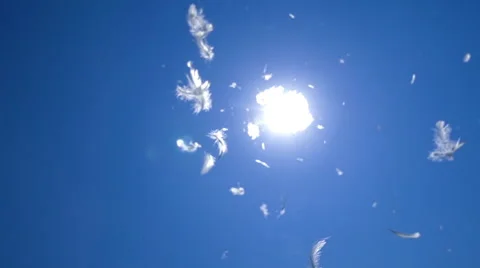 Plumes in the Sky Stock Footage 59010510