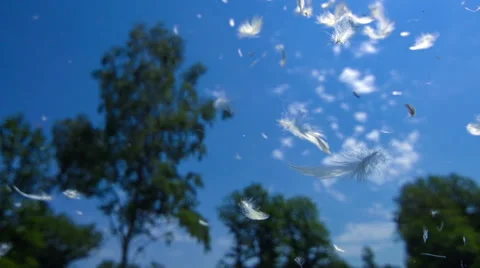 Plumes in the Sky Stock Footage 59010965