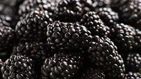 Plump blackberries cascade slow-mo onto berry mound. Glossy close-up highlights Vídeo Stock 314332928