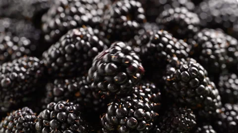 Plump blackberries cascade slow-mo onto berry mound. Glossy close-up highlights Stock Footage 314332929