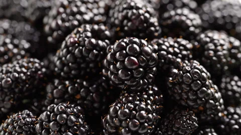 Plump blackberries cascade slow-mo onto berry mound. Glossy close-up highlights Stock Footage 314332972