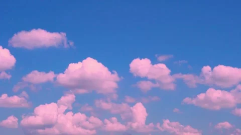 Plump Cotton Pink Clouds Open Blue Sky At Sunrise, Time Lapse. Soaring Pink Rose Stock Footage 324497156