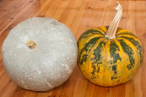 Plumpkins Stock Photos