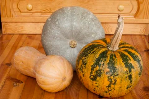Plumpkins Stock Photos