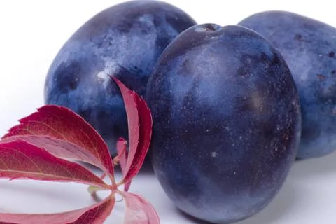 Plums and leaf Stock Photos