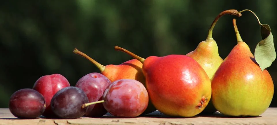 Plums and pears Stock Photos