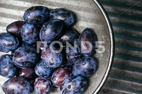 Plums Background. Beautiful Blue In Close Up - Of Fresh Fruits