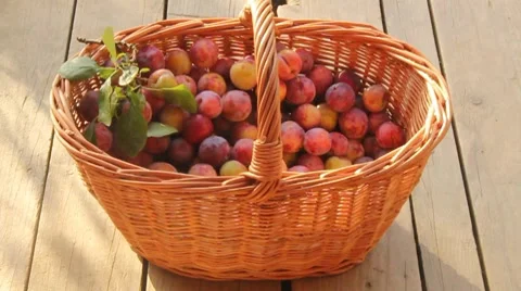 Plums in a basket-greengage Stock Footage 8577932